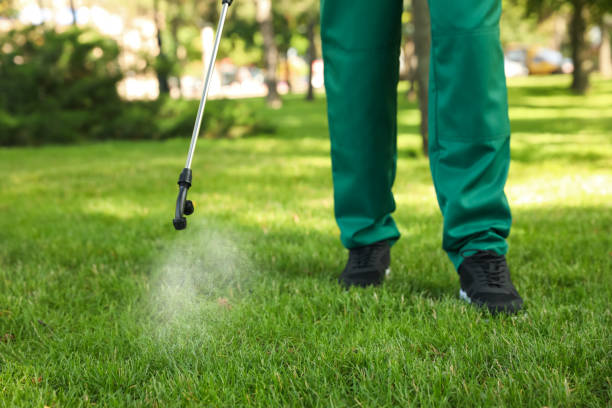 Best Pest Removal Services  in Cockeysville, MD