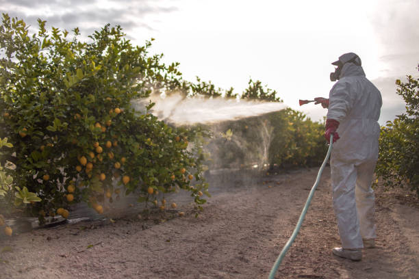 Best Emergency Pest Control  in Cockeysville, MD