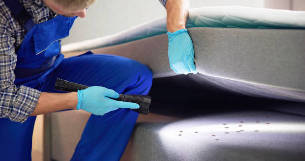 Pest Control Cost in Cockeysville, MD