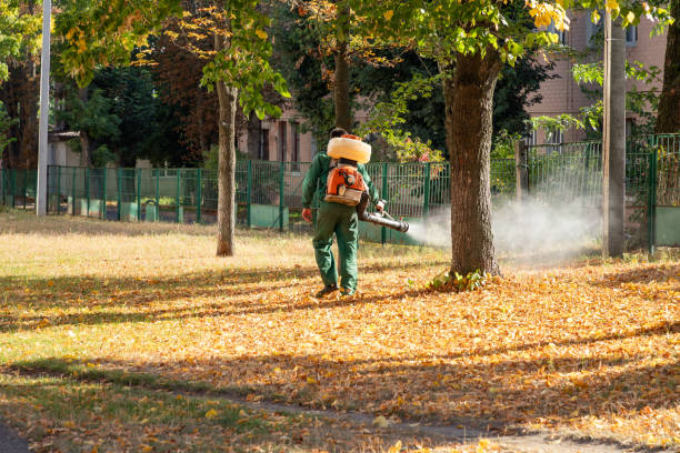 Best Rat Extermination Near Me  in Cockeysville, MD