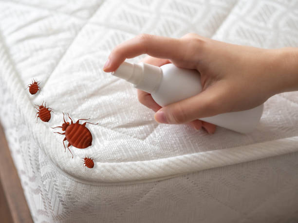 Best Pest Control Near Me  in Cockeysville, MD