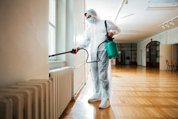 Best Mosquito Control Services  in Cockeysville, MD