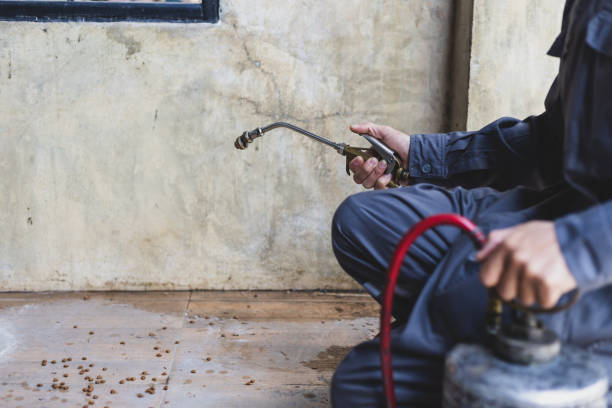 Wasp Removal Services in Cockeysville, MD